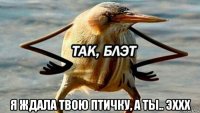  я ждала твою птичку, а ты.. эххх