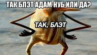 так блэт адам нуб или да? 