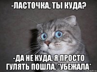 -ласточка, ты куда? -да не куда, я просто гулять пошла. *убежала*