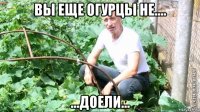 вы еще огурцы не.... ...доели...