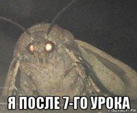  я после 7-го урока