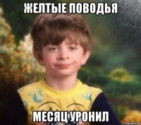 желтые поводья месяц уронил