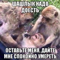 шашлык надо доесть оставьте меня, дайте мне спокойно умереть