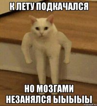 к лету подкачался но мозгами незанялся ыыыыы