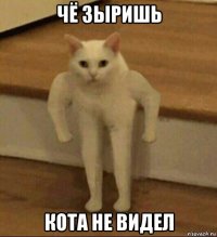 чё зыришь кота не видел