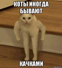 коты иногда бывают качками