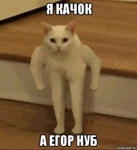 я качок а егор нуб