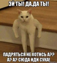 эй ты! да,да ты! падряться не хотись а?? а? а? сюда иди сука!