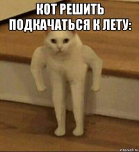 кот решить подкачаться к лету: 