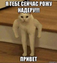 я тебе сейчас рожу надеру!!! привет