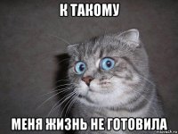 к такому меня жизнь не готовила