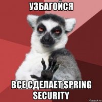 узбагойся все сделает spring security