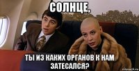 солнце, ты из каких органов к нам затесался?