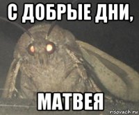 с добрые дни, матвея