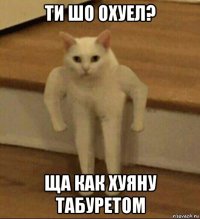 ти шо охуел? ща как хуяну табуретом