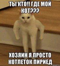 ты кто!! где мой кот??? хозяин я просто котлеток пириед