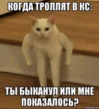 когда троллят в кс: ты быканул или мне показалось?