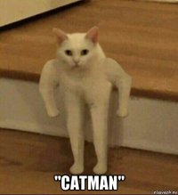  "catman"