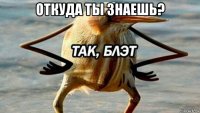 откуда ты знаешь? 