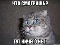 что смотришь? тут ничего нет!