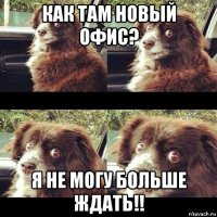 как там новый офис? я не могу больше ждать!!