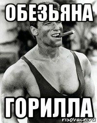 обезьяна горилла