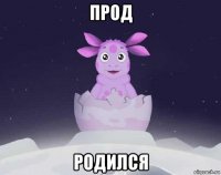 прод родился