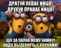 дратуй левае ийцо! друхуй правае ийцо! шо за палка межу нами?! надо выдернуть с корнями!