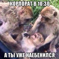 корпорат в 10:30 а ты уже наебенился