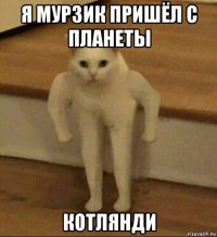 я мурзик пришёл с планеты котлянди