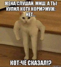 жена:слушай, миш, а ты купил коту корм?муж: нет... кот:чё сказал!?