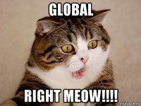 global right meow!!!!