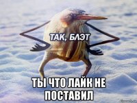  ты что лайк не поставил