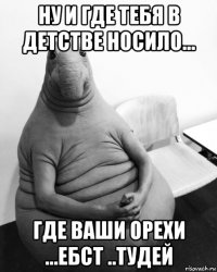 ну и где тебя в детстве носило... где ваши орехи ...ебст ..тудей