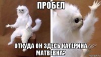 пробел откуда он здесь катерина матвевна?