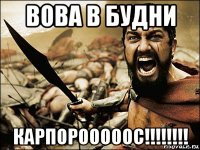 вова в будни карпорооооос!!!!!!!!