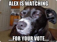 alex is watching ....for your vote....