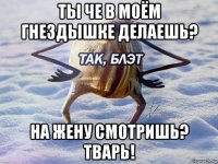 ты че в моём гнездышке делаешь? на жену смотришь? тварь!