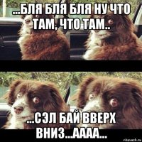 ...бля бля бля ну что там, что там.. ...сэл бай вверх вниз...аааа...