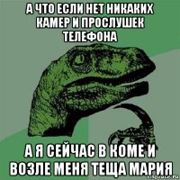 а что если нет никаких камер и прослушек телефона а я сейчас в коме и возле меня теща мария