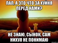 пап, а это что за хуйня перед нами? не знаю, сынок, сам нихуя не понимаю