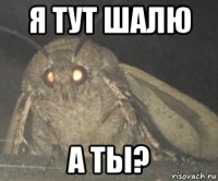 я тут шалю а ты?