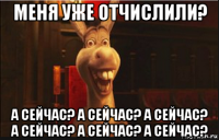 меня уже отчислили? а сейчас? а сейчас? а сейчас? а сейчас? а сейчас? а сейчас?