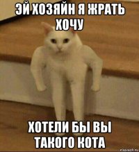 эй хозяйн я жрать хочу хотели бы вы такого кота