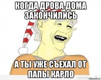 когда дрова дома закончились а ты уже съехал от папы карло