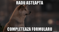 radu asteapta completeaza formularu