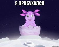 я пробухался 