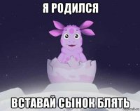 я родился вставай сынок блять