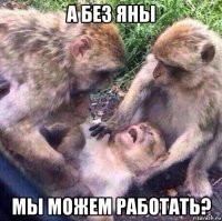 а без яны мы можем работать?