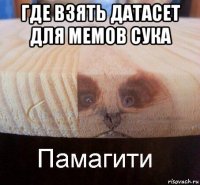 где взять датасет для мемов сука 